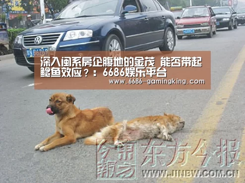 深入闽系房企腹地的金茂 能否带起鲶鱼效应?:6686娱乐平台(图1) 6686电竞官网