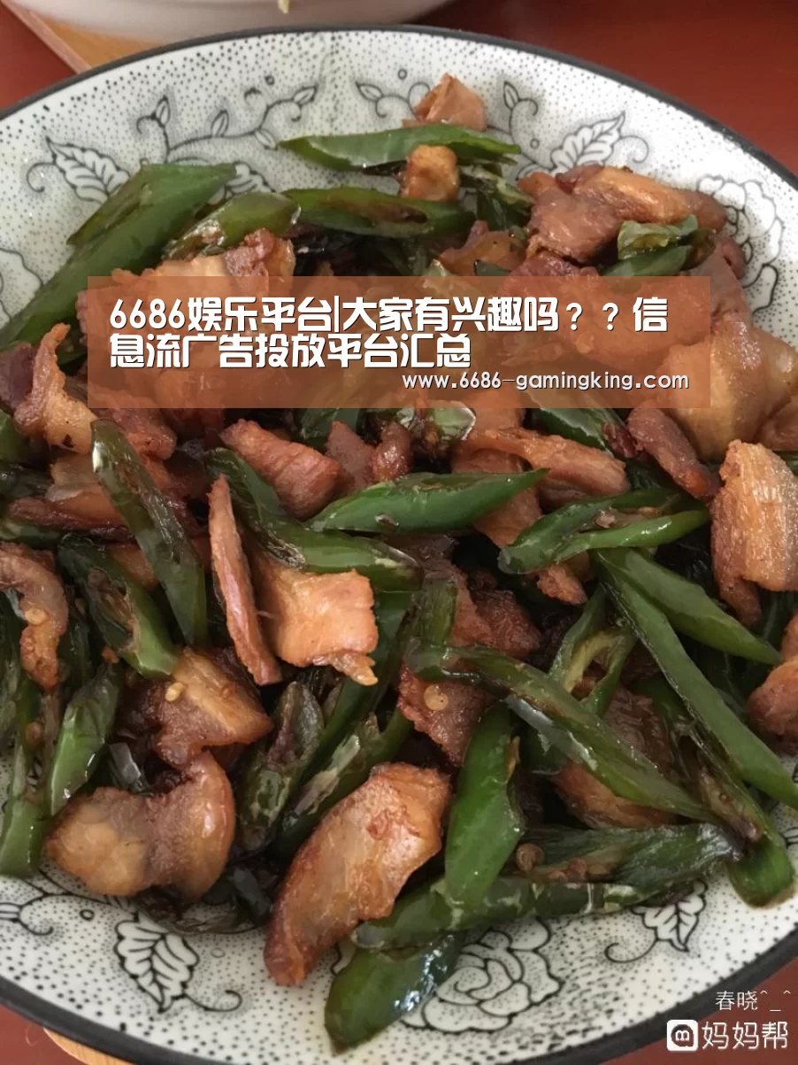 6686娱乐平台|大家有兴趣吗??信息流广告投放平台汇总(图1) 6686娱乐平台