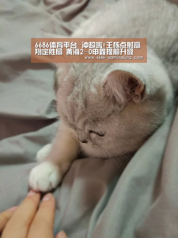 6686体育平台-冲超啦!王栋点射高翔定胜局 黄海2-0申鑫提前升级(图1) 6686娱乐平台