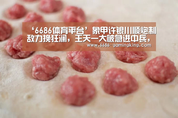‘6686体育平台’象甲许银川顺炮制敌力挽狂澜,王天一大破急进中兵,赵鑫鑫七连胜(图1) 6686最新地址