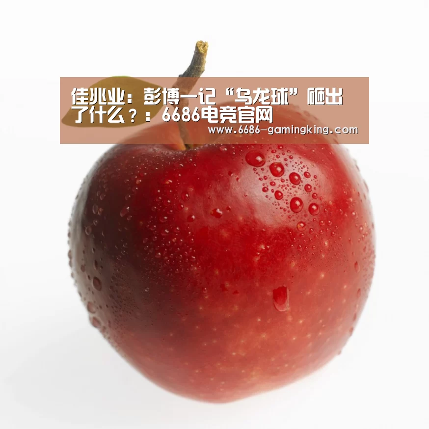 6686体育平台
